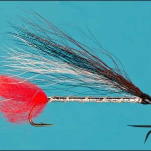 Black Nose Dace Size 6