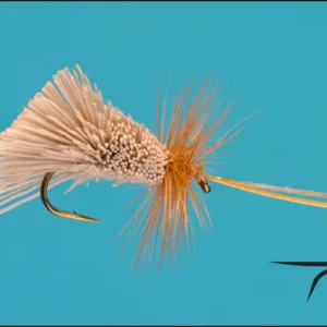 Goddard Caddis Size 12