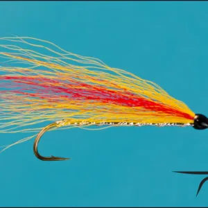 Mickey Finn Size 6