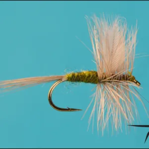 Blue Wing Olive Size 12