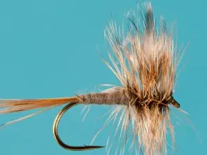 Mouches sèches à truite